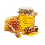 Sundarban Honey