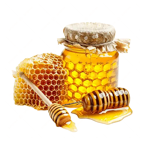 Sundarban Honey